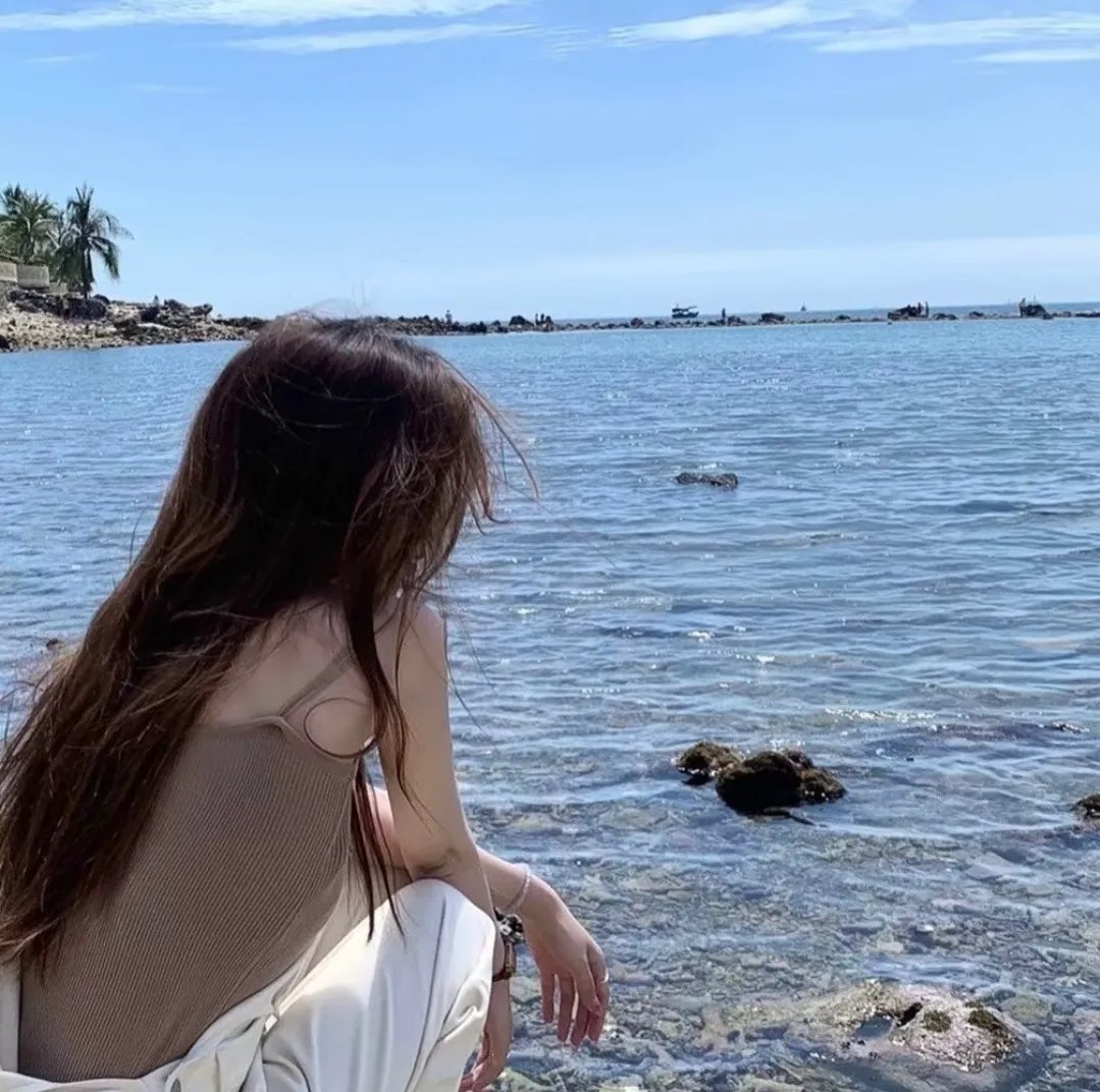 阿基里斯与龟