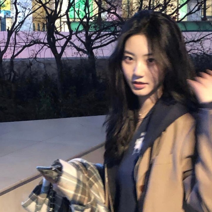 狗狗圣诞节